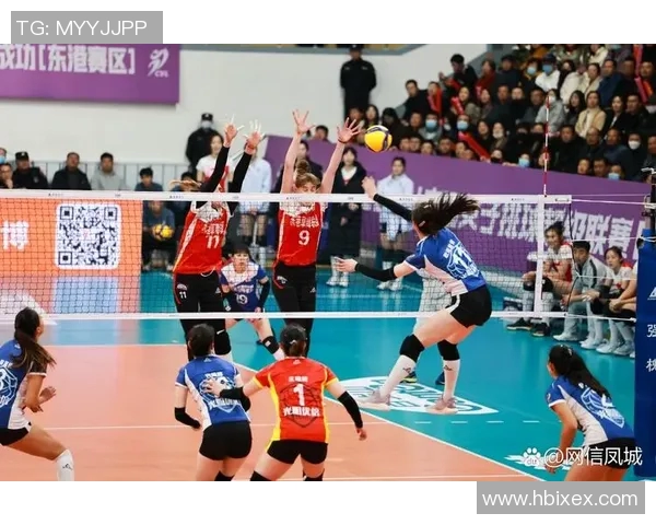 广州排球队中路突破的秘密与战术解析深度剖析