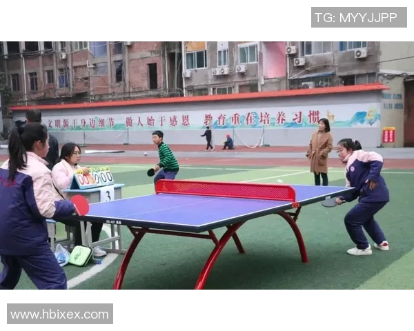 乒乓球新手必看：从零基础到技术入门的全面攻略与实用技巧分享