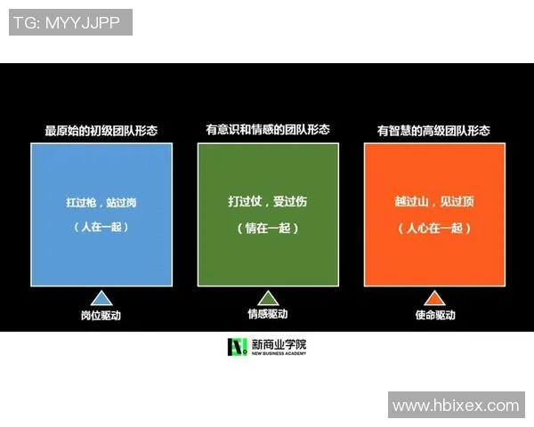 杭州排球队战术解析与运营体系探讨提升团队竞争力的策略