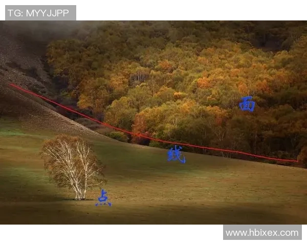 解析北京足球队快攻战术体系的核心要素与实战应用