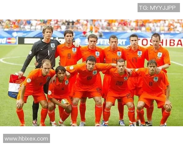 2010年荷兰足球明星的辉煌历程与世界杯征战回顾